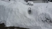 20170116_114844.webp