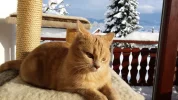 20170116_143420.webp