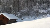 20170116_145639.webp