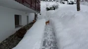 20170116_113552.webp