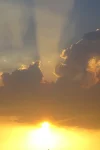 DSC02151.webp