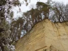 DSCN3235.webp