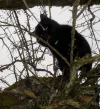 DSCN3258 (2).webp