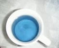 DSCF9375.webp