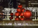 DSC_0606.webp