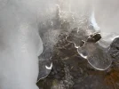 DSCN3322.webp