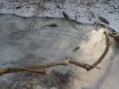 DSCN3296.webp