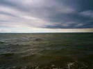 P7310042 (2).webp