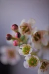K1024_DSC_5364 (2).webp