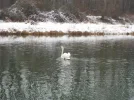 DSCN3361.webp
