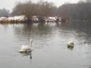 DSCN3360.webp
