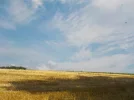 DSCN1650.webp