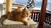 20170116_143414.webp
