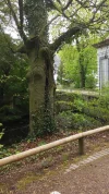 Handy Bilder 097.webp