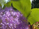 DSCN1336 (2).webp