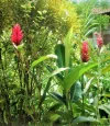 PICT0074.webp