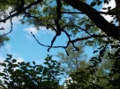 DSCN1262.webp
