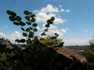 DSCN1783.webp