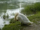 DSCN1039 (2).webp