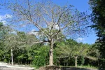 DSC_1747.webp
