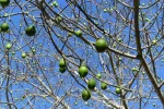 DSC_1748.webp