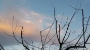 20170219_175007.webp