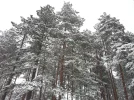 112.webp