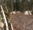 DSCN3392 (2).webp