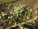 DSCN3409.webp
