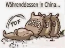 n24Sack+Reis+in+China.webp