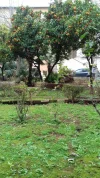 20170222_110939.webp