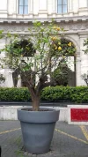20170223_132930.webp