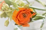 K1024_DSC_6305.webp
