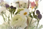 K1024_DSC_6299.webp