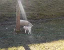 DSCN3419 (2).webp