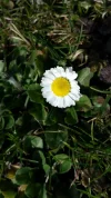 20170227_114347.webp