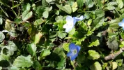 20170227_114722.webp
