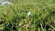 20170227_114249.webp