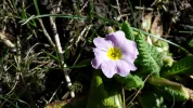 20170227_114917.webp