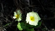 20170227_115006.webp