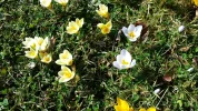 20170227_114122.webp