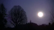 PIC_0024.webp