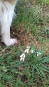 20170314_092314.webp