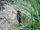 DSCF9532.webp