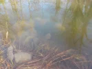 DSCN3506.webp