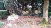 20170312_173038.webp