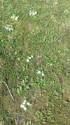 20170317_102314.webp