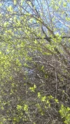 20170317_104336.webp