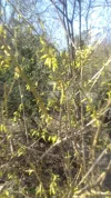 20170317_104525.webp