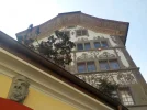 DSCN3490.webp